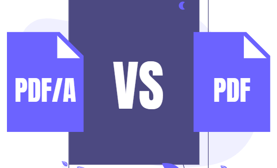 Do we use PDF or PDF/ A?