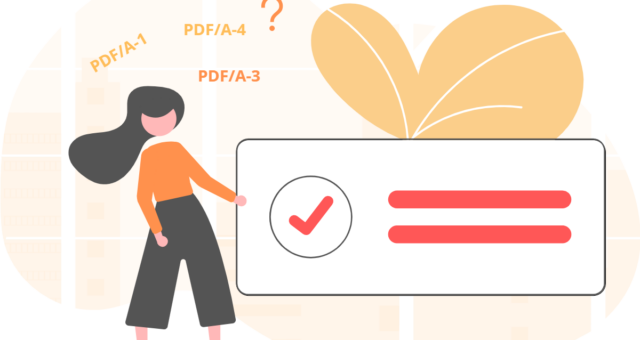 How to use PDF/A validator?