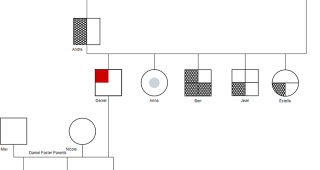 Desentrañando las historias familiares: La guía completa sobre los genogramas