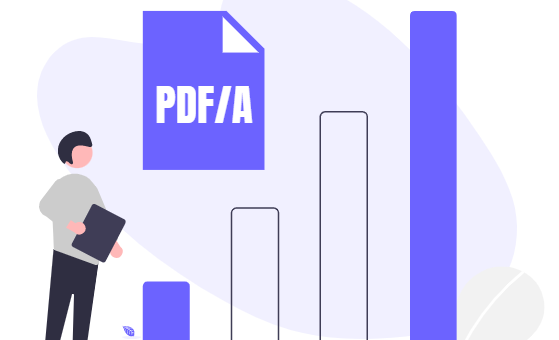 What are the different conformance levels of PDF/A?