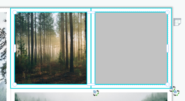 Split A Cell In A Classic Collage