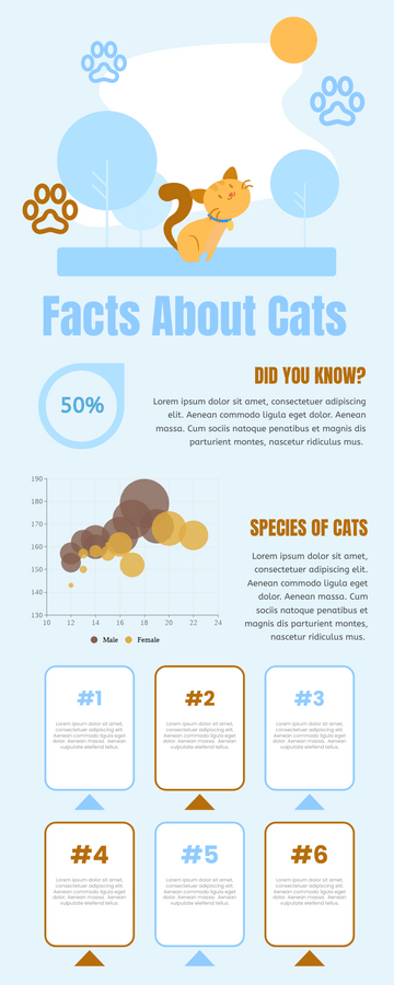 facts-about-cats-infographic-thumbnail