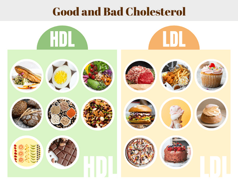 Good and Bad Cholesterol Infographic