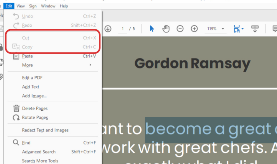 How to disable copy content for a PDF