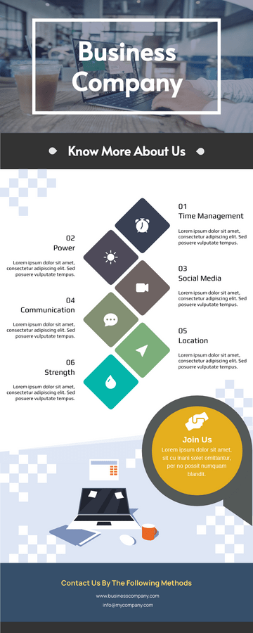 Business Company Infographic