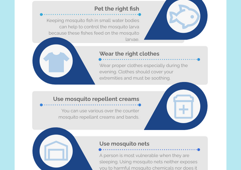 10 Ways To Prevent Malaria Disease Infographic