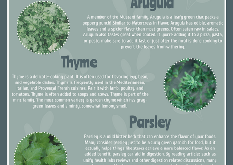 8 Best Herbs To Grow At Home Infographic