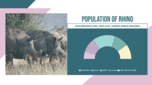 Create A Semi-Doughnut Chart