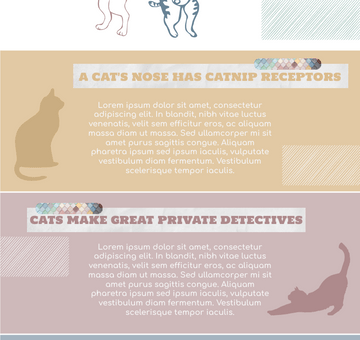 Cat Infographic