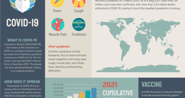 How to master the ability to visualization of infographic data?