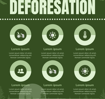 Deforestation Infographic