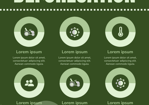 Deforestation Infographic