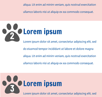 Dog Training Infographic