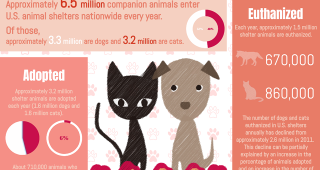 Five key elements of designing an infographic