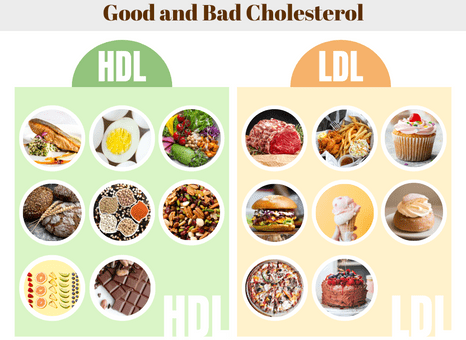 Good and Bad Cholesterol Infographic