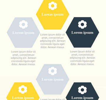 How To Collect Honey Infographic