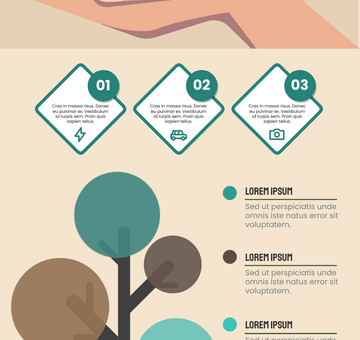 How To Plant A Tree Infographic