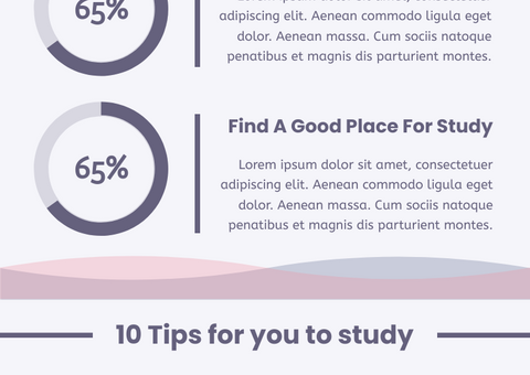 How To Study Effectively Infographic