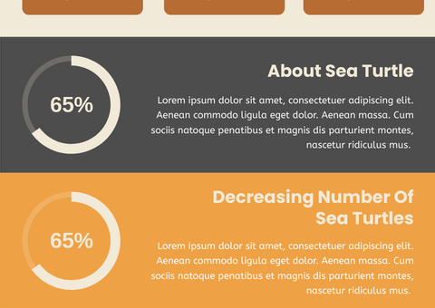 Endangered Sea Turtles Infographic