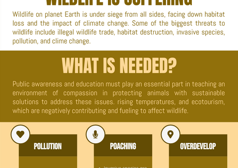6 Biggest Threats To Wildlife Infographic