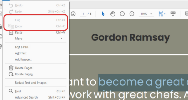 How to disable copy content for a PDF