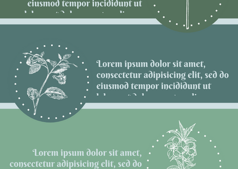 Six Medicinal Herbs You Can Grow In Pots Infographic