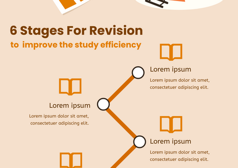 Revision Techniques Infographic