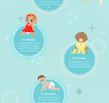 Babies Sleep Patterns Infographic