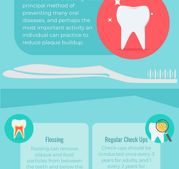 Dental Care Tips Infographic