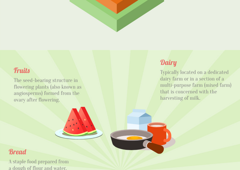 Infographic Of Healthy Food
