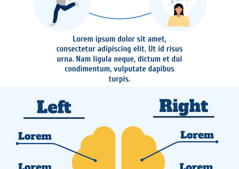 Introduction Of Brain Infographic