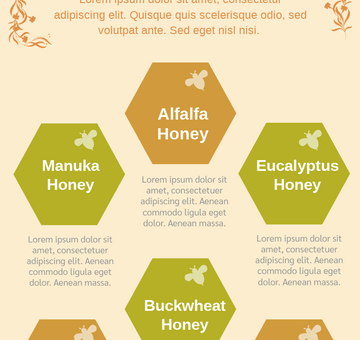 Honey Infographic