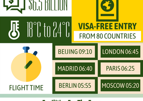 Key Facts Of FIFA World Cup In Qatar Infographic