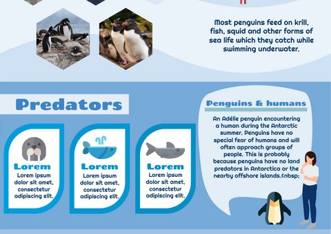 Penguin Infographic