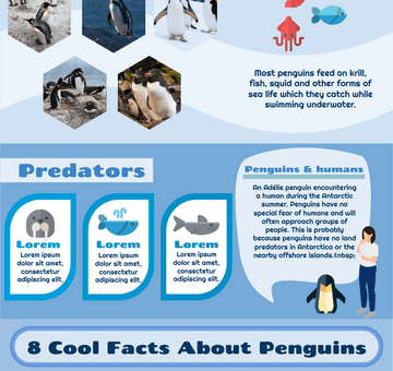 Life of Penguin Infographic