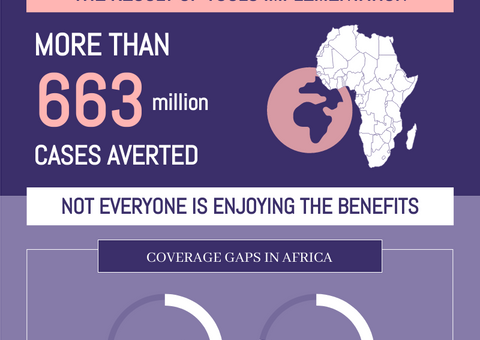 Malaria Preventive Measures Infographic