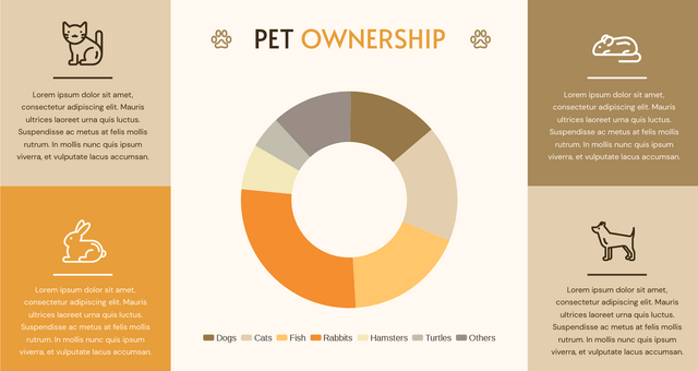 How To Create A Doughnut Chart