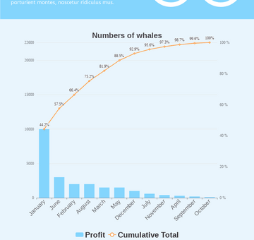 Save The Whales Infographic