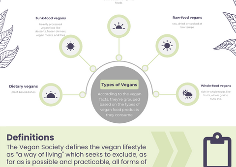 The Vegan Lifestyle Infographic