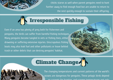 Threats to Penguins Infographic