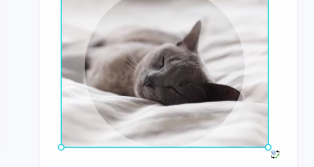 Create a Photo Frame