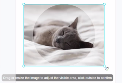 Create a collage - Visual Paradigm Blog
