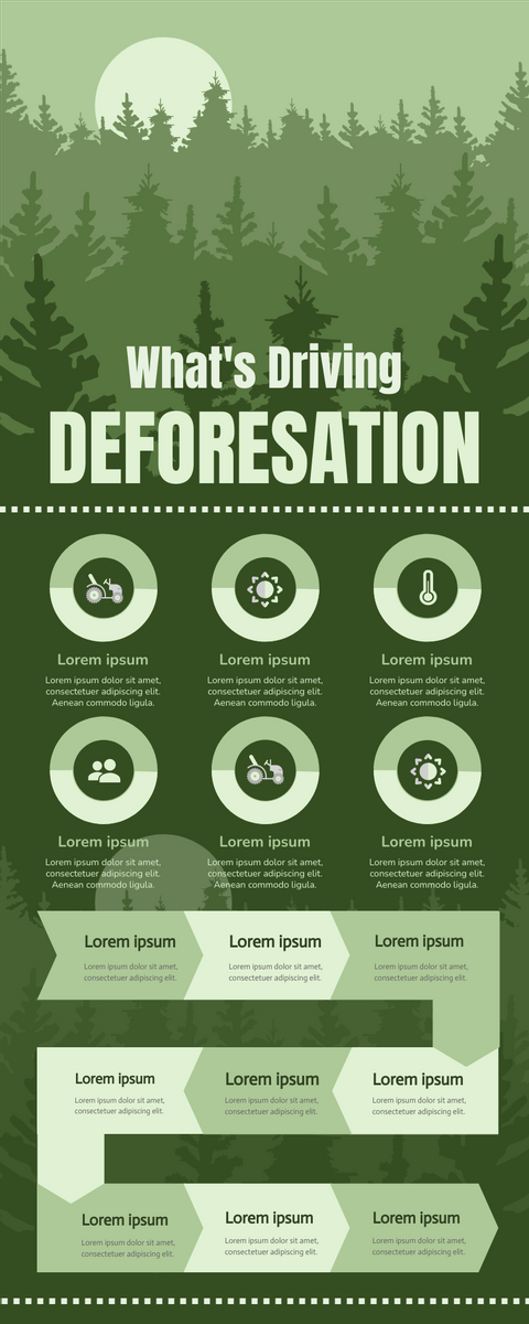Infographic template: Deforestation Infographic (Created by Visual Paradigm Online's Infographic maker)