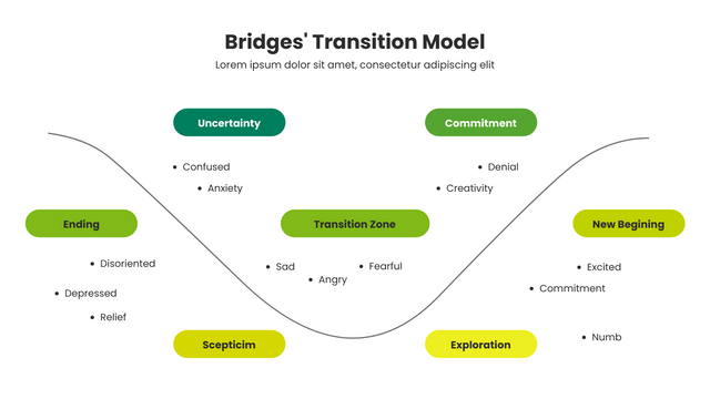 Mô Hình Chuyển Tiếp Cầu Là Gì Giải Thích Về Thay Đổi So Với Chuyển Đổi   Visual Paradigm Blog