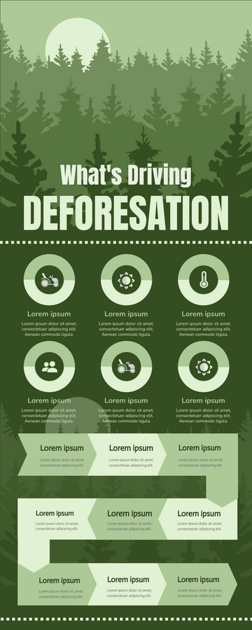 Deforestation Infographic