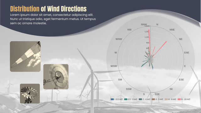 Rose Chart template: Distribution of Wind Directions Rose Chart (Created by Visual Paradigm Online's Rose Chart maker)