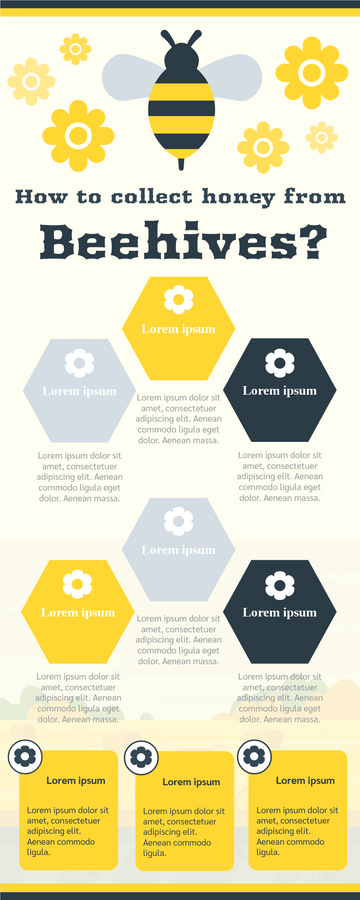 How To Collect Honey Infographic