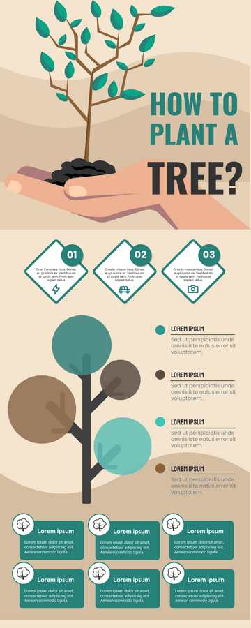 How To Plant A Tree Infographic