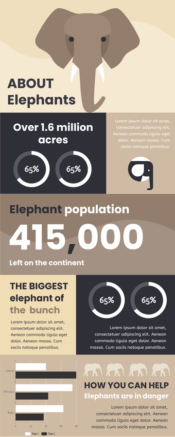 Infographics template: Infographic About Elephants (Created by Visual Paradigm Online's Infographics maker)