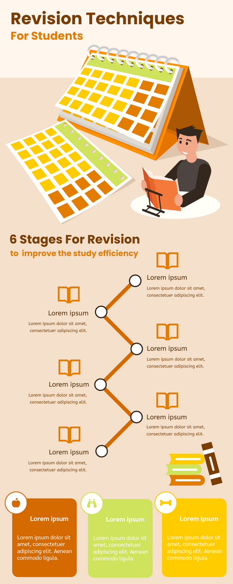 Revision Techniques Infographic